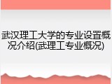 武汉理工大学的专业设置概况介绍(武理工专业概况)