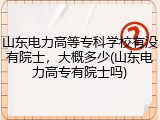 山东电力高等专科学校有没有院士，大概多少(山东电力高专有院士吗)