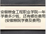 安徽粮食工程职业学院一年学费多少钱，还有哪些费用(安徽粮院学费及费用)