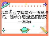 武昌职业学院是双一流高校吗，简单介绍(武昌职院双一流吗)