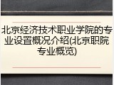 北京经济技术职业学院的专业设置概况介绍(北京职院专业概览)