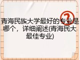 青海民族大学最好的专业是哪个，详细阐述(青海民大最佳专业)