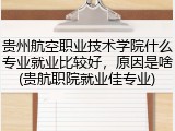 贵州航空职业技术学院什么专业就业比较好，原因是啥(贵航职院就业佳专业)