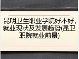 昆明卫生职业学院好不好，就业现状及发展趋势(昆卫职院就业前景)