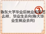 鲁东大学毕业后就业前景怎么样，毕业生去向(鲁大毕业生就业去向)