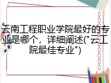 云南工程职业学院最好的专业是哪个，详细阐述("云工院最佳专业")