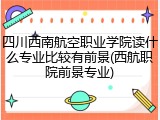 四川西南航空职业学院读什么专业比较有前景(西航职院前景专业)