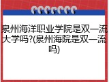 泉州海洋职业学院是双一流大学吗?(泉州海院是双一流吗)