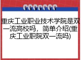 重庆工业职业技术学院是双一流高校吗，简单介绍(重庆工业职院双一流吗)