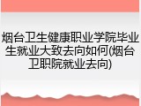 烟台卫生健康职业学院毕业生就业大致去向如何(烟台卫职院就业去向)