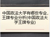 中国政法大学有哪些专业，王牌专业分析(中国政法大学王牌专业)