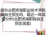 民办合肥滨湖职业技术学院能自主招生吗，最近一年简章分析(合肥滨湖职院自主招生简章)