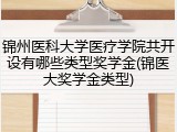 锦州医科大学医疗学院共开设有哪些类型奖学金(锦医大奖学金类型)