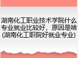 湖南化工职业技术学院什么专业就业比较好，原因是啥(湖南化工职院好就业专业)