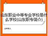 山东职业中等专业学校是什么学校(山东职专简介)