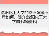 沈阳化工大学的图书馆藏书量如何，简介(沈阳化工大学图书馆藏书)