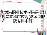 防城港职业技术学院是专科还是本科院校呢(防城港职院专科本科)