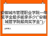 安徽城市管理职业学院一年奖学金最多能拿多少("安徽城管学院最高奖学金")