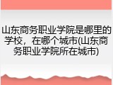 山东商务职业学院是哪里的学校，在哪个城市(山东商务职业学院所在城市)