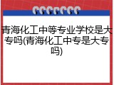 青海化工中等专业学校是大专吗(青海化工中专是大专吗)