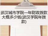 武汉城市学院一年财政拨款大概多少钱(武汉学院年拨款)