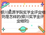 银川能源学院奖学金评定细则是怎样的(银川奖学金评定细则)