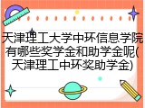 天津理工大学中环信息学院有哪些奖学金和助学金呢(天津理工中环奖助学金)