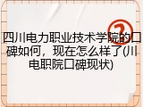 四川电力职业技术学院的口碑如何，现在怎么样了(川电职院口碑现状)