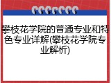 攀枝花学院的普通专业和特色专业详解(攀枝花学院专业解析)