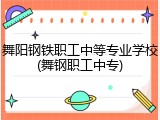 舞阳钢铁职工中等专业学校(舞钢职工中专)