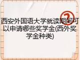西安外国语大学就读期间可以申请哪些奖学金(西外奖学金种类)