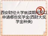 西安财经大学就读期间可以申请哪些奖学金(西财大奖学金种类)