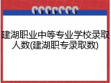 建湖职业中等专业学校录取人数(建湖职专录取数)