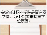 安徽审计职业学院是否有双学位，为什么(安审院双学位原因)