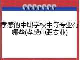 孝感的中职学校中等专业有哪些(孝感中职专业)