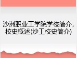 沙洲职业工学院学校简介，校史概述(沙工校史简介)