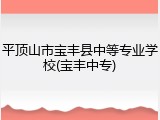 平顶山市宝丰县中等专业学校(宝丰中专)