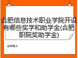 合肥信息技术职业学院开设有哪些奖学和助学金(合肥职院奖助学金)
