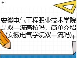 安徽电气工程职业技术学院是双一流高校吗，简单介绍(安徽电气学院双一流吗)