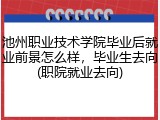 池州职业技术学院毕业后就业前景怎么样，毕业生去向(职院就业去向)