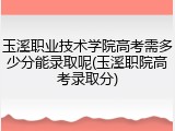 玉溪职业技术学院高考需多少分能录取呢(玉溪职院高考录取分)