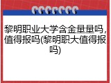 黎明职业大学含金量量吗，值得报吗(黎明职大值得报吗)