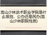 嵩山少林武术职业学院是什么级别，公办还是民办(嵩山少林职院性质)
