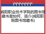咸阳职业技术学院的图书馆藏书量如何，简介(咸阳职院图书馆藏书)
