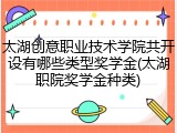 太湖创意职业技术学院共开设有哪些类型奖学金(太湖职院奖学金种类)
