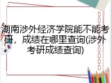 湖南涉外经济学院能不能考研，成绩在哪里查询(涉外考研成绩查询)