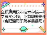 合肥通用职业技术学院一年学费多少钱，还有哪些费用(合肥通用职院学费费用)