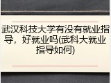 武汉科技大学有没有就业指导，好就业吗(武科大就业指导如何)