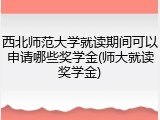 西北师范大学就读期间可以申请哪些奖学金(师大就读奖学金)