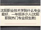 沈阳职业技术学院什么专业最好，一年招多少人(沈阳职院热门专业招生数)